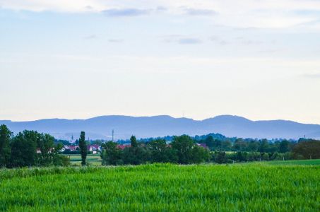 Freckenfeld Foto Diedieners - Freckenfeld