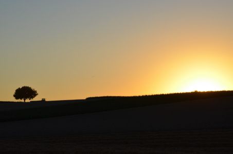 Freckenfeld Foto Diedieners - Freckenfeld