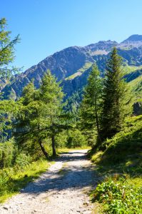 Mallnitz Foto Diedieners - Kärnten