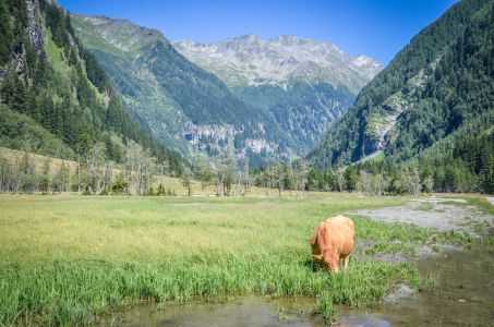 Mallnitz Foto Diedieners - Kärnten