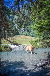 Mallnitz Foto Diedieners - Kärnten