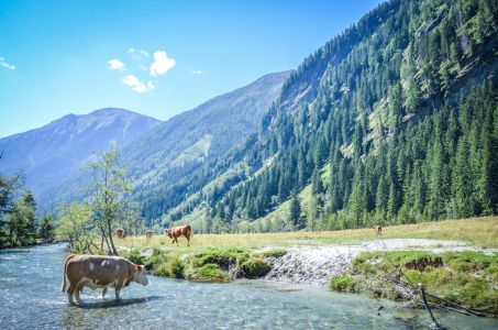 Mallnitz Foto Diedieners - Kärnten