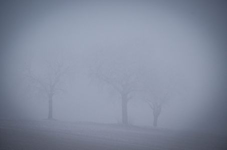 Freckenfeld Foto Diedieners - Freckenfeld